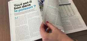 Ce que contiennent réellement nos boîtes de thon