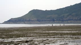 Des algues vertes sur l'îles de Plouha (Côtes-d'Armor), en juin 2011.