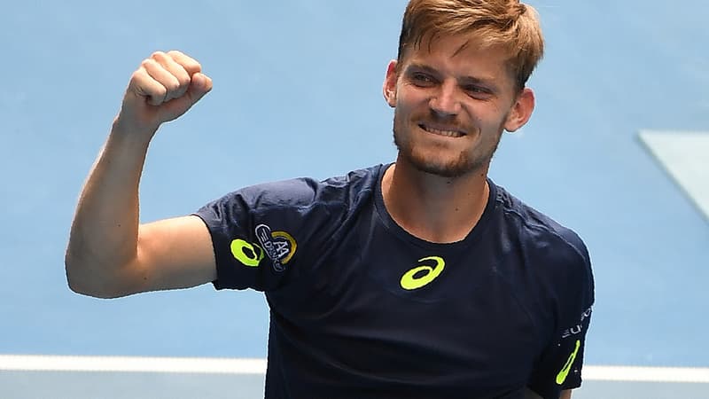 David Goffin