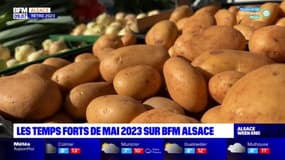 Rétro 2023: retour sur les temps forts du mois de mai en Alsace