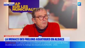 L'invité de Bonjour Alsace du lundi 2 février 2026 - Gérard Lickel