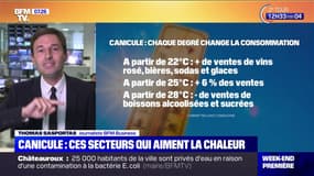 Canicule: ces secteurs économiques qui aiment la chaleur