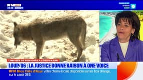 "Un mauvais coup porté aux éleveurs": Dominique Estrosi-Sassone regrette la suspension du tir de défense contre les loups