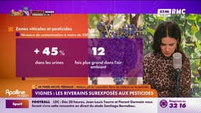 Vignes : les riverains surexposés aux pesticides