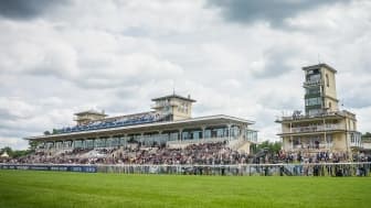 Les pronos hippiques du dimanche 5 juin 2022