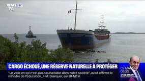 Le maire de Bonifacio s'inquiète de la protection de la réserve naturelle
