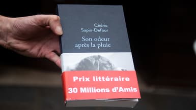 Couverture du livre "Son odeur après la pluie" de Cédric Sapin-Defour.