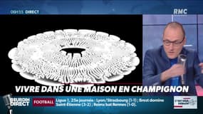 La chronique d'Anthony Morel : Vivre dans une maison en champignon - 17/02