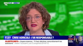 Agriculture: nous voulons que la loi "favorise ces exploitations familiales qui font la richesse de l'agriculture française et de l'Europe", affirme Marie Toussaint (Reconquête)