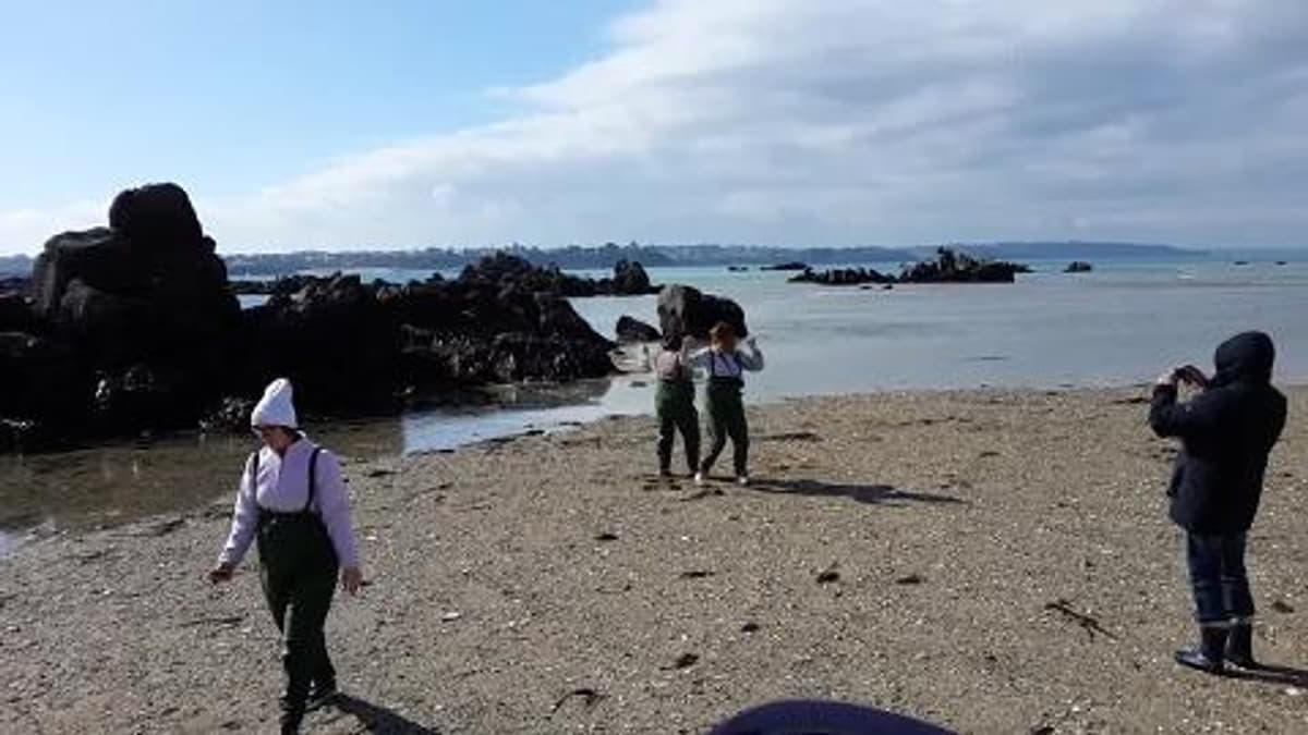 placeholder video