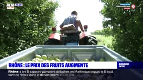 Rhône: après les intempéries d'avril, le prix des pommes et des poires augmente