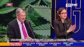 Légaliser le cannabis, dépénaliser la cocaïne : "Quid de la santé publique", s'insurge Barbara Lefebvre