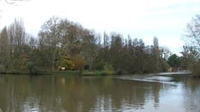 À la confluence de l'Huisne (à droite) dans la Sarthe (à gauche) en 2007 (illustration)