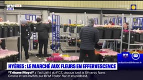 Hyères: le marché aux fleurs en effervescence en ce jour de Saint-Valentin 