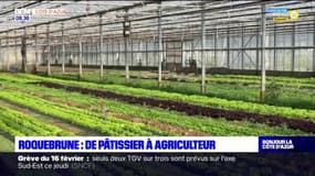 Roquebrune-sur-Argens: de pâtissier à agriculteur