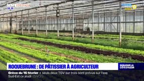 Roquebrune-sur-Argens: de pâtissier à agriculteur