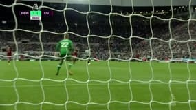 Benitez et Newcastle contrarient Liverpool (1-1)