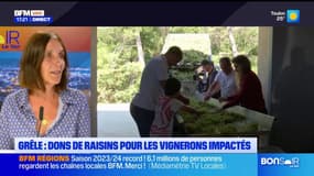 Var: l'association Rouge Provence vient en aide aux vignerons touchés par la grêle