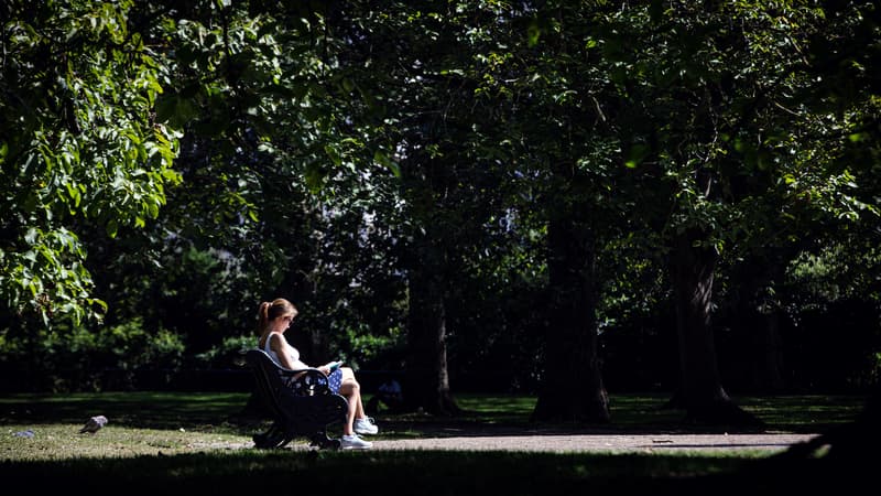 Une femme lit un livre sur un banc à Green Park, dans le centre de Londres, le 5 septembre 2023, alors que le pays connaît une vague de chaleur tardive.