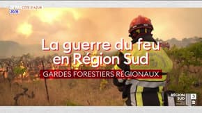 La guerre du feu en Région Sud : Gardes forestiers régionaux