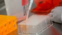 Des échantillons dans un laboratoire Novavax à Gaithersburg aux Etats-Unis, l'un des laboratoires travaillant sur les vaccins contre le coronavirus, le 20 mars 2020