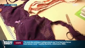Une société de lingerie féminine, qui emploie 26 salariés, devrait finalement être sauvée