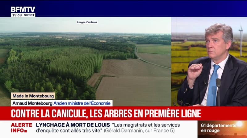 Les arbres en première ligne face à la canicule: "Il va falloir reboiser ce qui est en train de mourir", déclare Arnaud Montebourg, ancien ministre de l'Économie