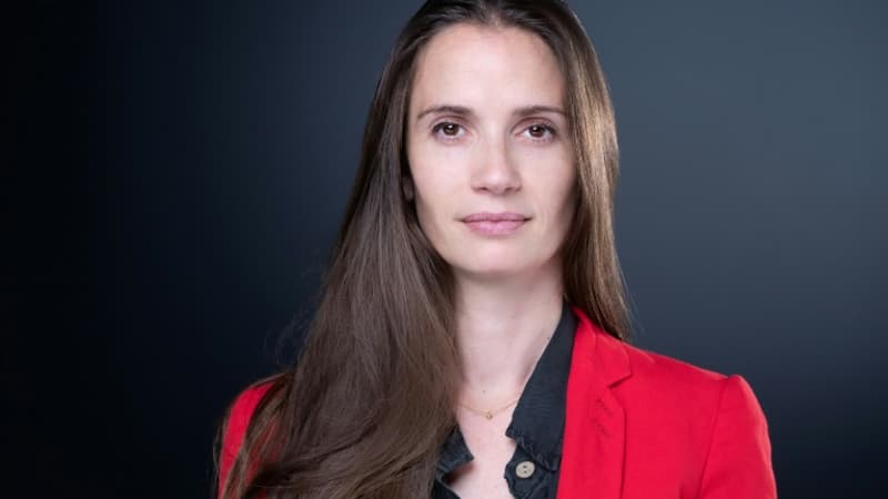 "Un retour de bâton misogyne et anti-féministe": un essai décrypte la "panique démographique" en France