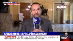 Pour Sébastien Chenu (RN), Éric Zemmour est "un candidat de témoignage mais pas un candidat d'espoir"