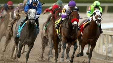 La Pegasus World Cup se tiendra à Gulfstream Park, en Floride.