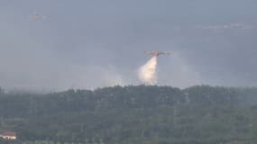 Un Canadair en intervention pour un feu de forêt dans les Pyrénées-Orientales