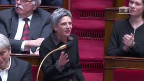 Sandrine Rousseau pose une question au gouvernement, Olivier Dussopt l'accuse de "faire écho aux fake news"