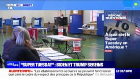 À quoi sert le Super Tuesday en Amérique? BFMTV répond à vos questions
