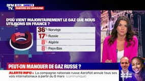 La France peut-elle se passer du gaz russe ?