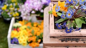 Le printemps arrive, il est temps de ressortir la pioche et de couper ce qui doit l'être