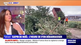 Natal: é hora de se desfazer da sua árvore 