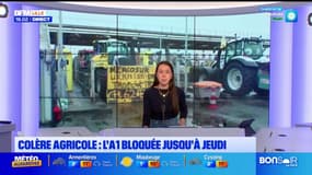 Blocage du péage de Fresnes.