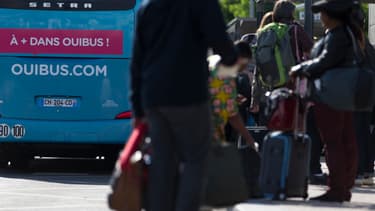 Ouibus serait la première compagnie française d'autobus.