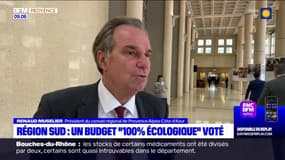 Région Sud: un budget "100% écologique" voté