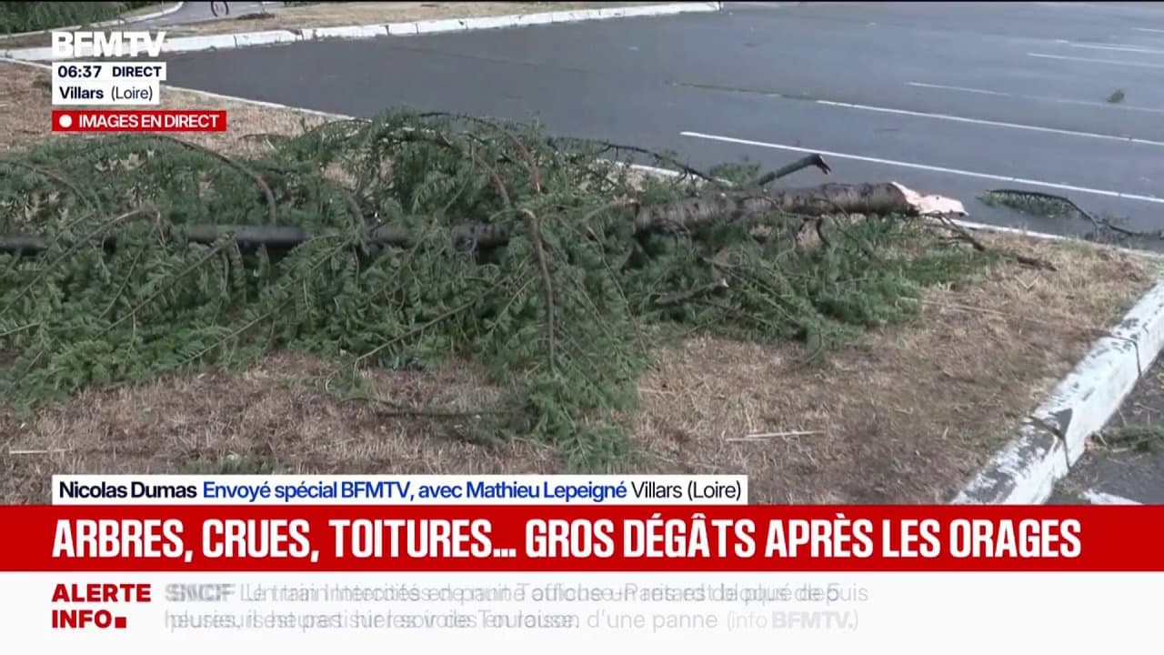 Loire'da kasırga sonrası hasar görüntüleri