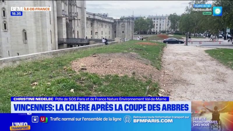 Val-de-Marne: colère après la coupe de 18 arbres aux abords du château de Vincennes (1/1)