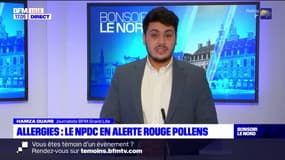 Pollens: le Nord et le Pas-de-Calais en alerte rouge