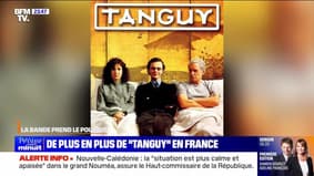 De plus en plus de "Tanguy" en France - 16/05