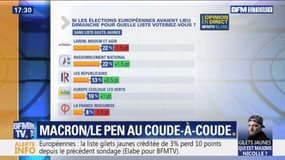 Européennes: LaREM et le RN au coude-à-coude à 22% d'intentions de vote selon un sondage BFMTV