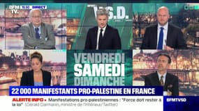 Manifestations pro-Palestine: tensions à Paris, calme en région - 15/05