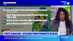 Seine-et-Marne: des ateliers pour fabriquer ses produits écologiques pour la maison