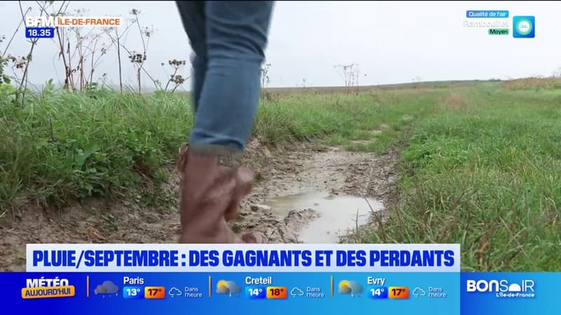 Île-de-France: en septembre, des gagnants et des perdants face aux intempéries (1/1)