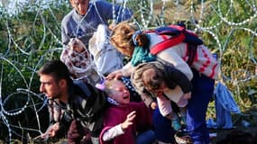 Une famille de migrants rampe sous des fils barbelés à la frontière serbo-hongroise le 27 août 2015.