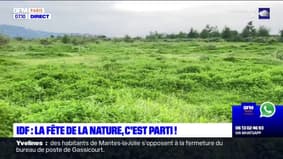 Île-de-France: début de la fête de la nature, pour découvrir le patrimine naturel de la région