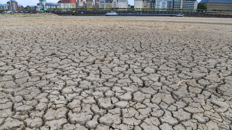 Le Rhin a Düsseldorf en août dernier.
